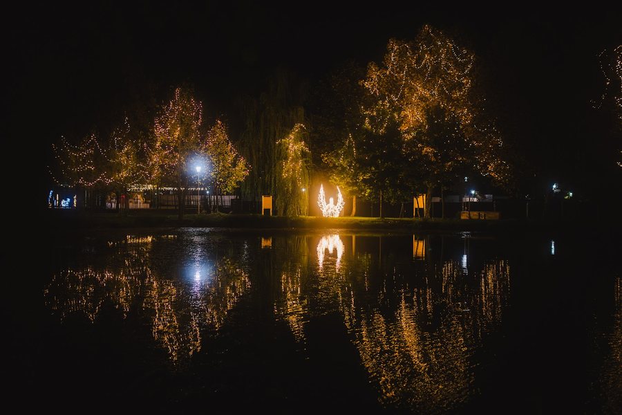 Bäume mit warmweißen LED-Lichterketten am Wasser, Spiegelung bei Nacht